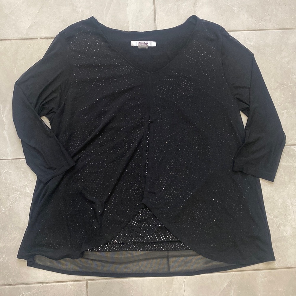 Tanjay Black Sheer With Silver Tone Embellishments